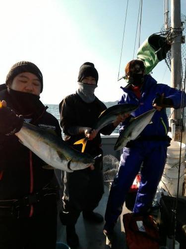 ファイヤードルフィン 釣果