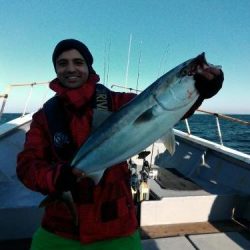 ファイヤードルフィン 釣果