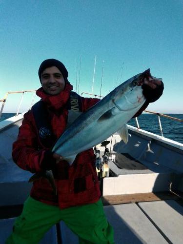 ファイヤードルフィン 釣果