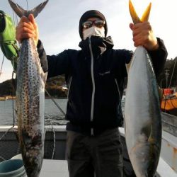 ファイヤードルフィン 釣果