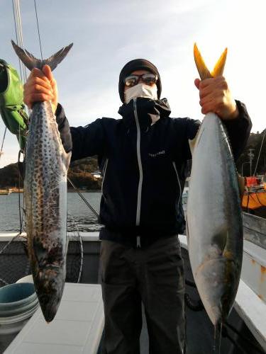 ファイヤードルフィン 釣果