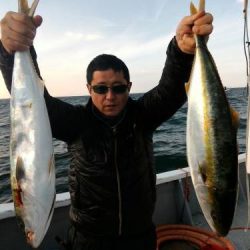 ファイヤードルフィン 釣果