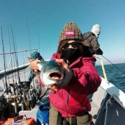 ファイヤードルフィン 釣果