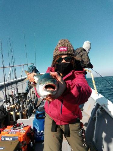 ファイヤードルフィン 釣果