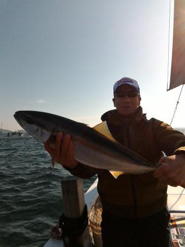 ファイヤードルフィン 釣果