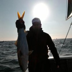 ファイヤードルフィン 釣果