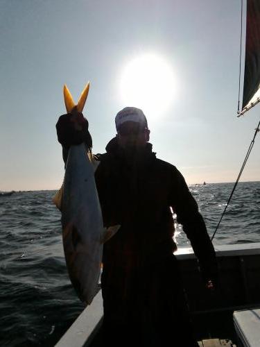 ファイヤードルフィン 釣果