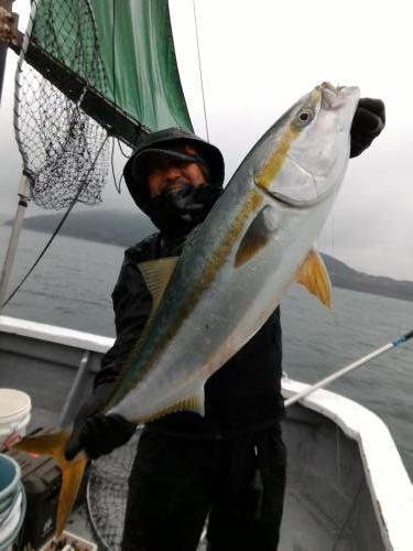 ファイヤードルフィン 釣果