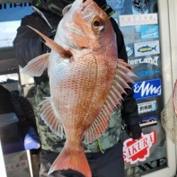 遊漁船 ニライカナイ 釣果