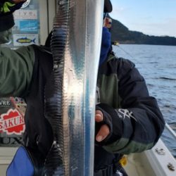 遊漁船 ニライカナイ 釣果