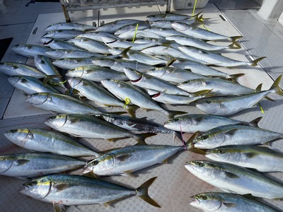 ミタチ丸 釣果