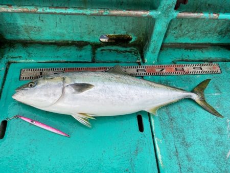 広進丸 釣果