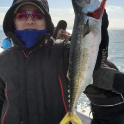 遊漁船 ニライカナイ 釣果