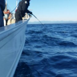 第五慶門丸 釣果