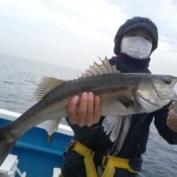 さわ浦丸 釣果