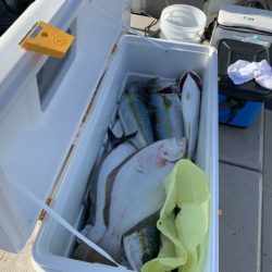 第八大安丸 釣果