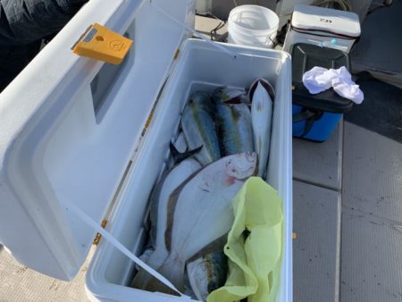 第八大安丸 釣果