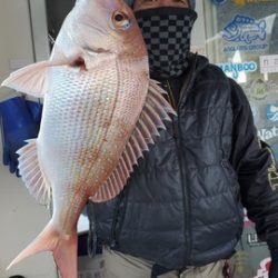 遊漁船　ニライカナイ 釣果