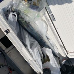 第八大安丸 釣果