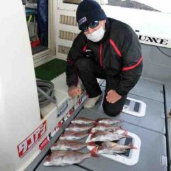 遊漁船 セトマリン 釣果