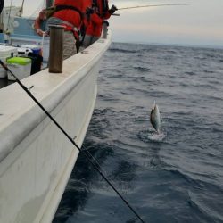 第五慶門丸 釣果