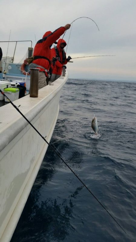 第五慶門丸 釣果