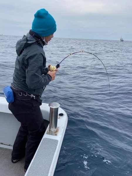 へいみつ丸 釣果