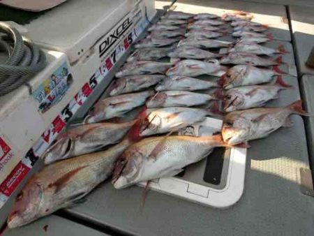 遊漁船 セトマリン 釣果