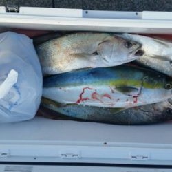 第五慶門丸 釣果