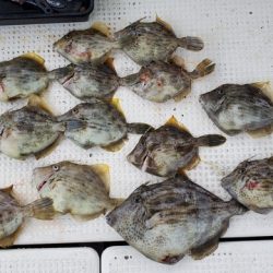 遊漁船　ニライカナイ 釣果