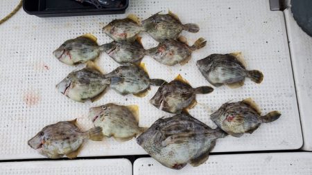 遊漁船　ニライカナイ 釣果