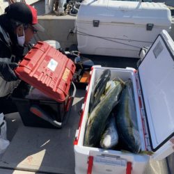 第八大安丸 釣果