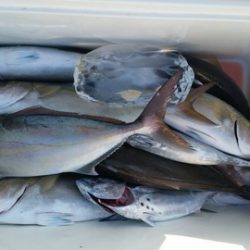 第五慶門丸 釣果