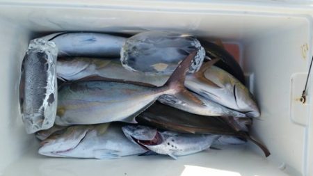 第五慶門丸 釣果