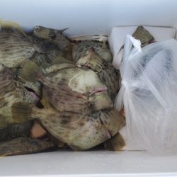 遊漁船 ニライカナイ 釣果