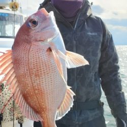 遊漁船　ニライカナイ 釣果