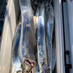 さんさん丸 釣果