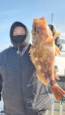遊漁船 ニライカナイ 釣果