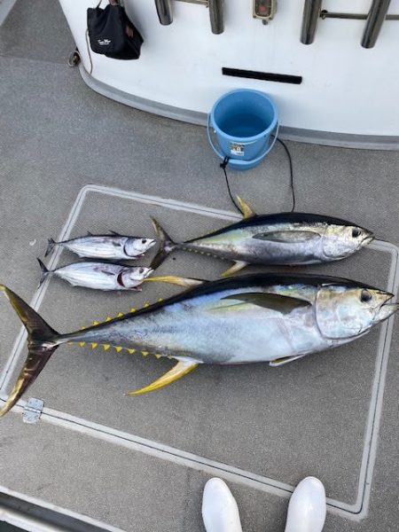 へいみつ丸 釣果