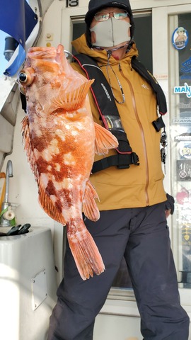 遊漁船 ニライカナイ 釣果