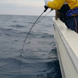 第五慶門丸 釣果