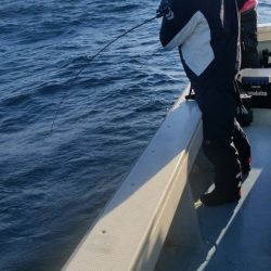 第五慶門丸 釣果