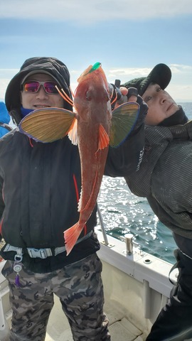 遊漁船 ニライカナイ 釣果