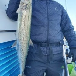 遊漁船 ニライカナイ 釣果