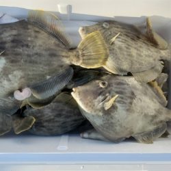 遊漁船 ニライカナイ 釣果