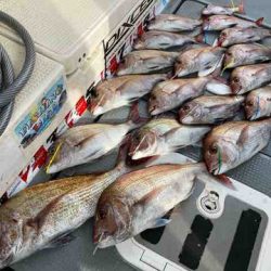 遊漁船 セトマリン 釣果