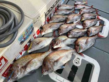 遊漁船 セトマリン 釣果