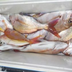 第二むつ漁丸 釣果