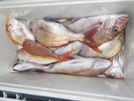 第二むつ漁丸 釣果