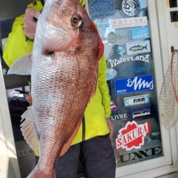 遊漁船　ニライカナイ 釣果